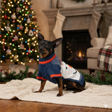 Suéter navideño para perro Frosty