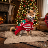 Suéter navideño para perro Duende