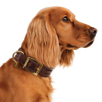 Collar Kayan