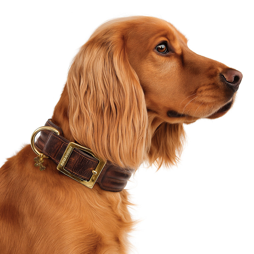 Collar Kayan