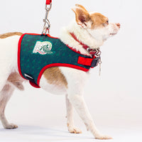Pechera para Perro México Oficial