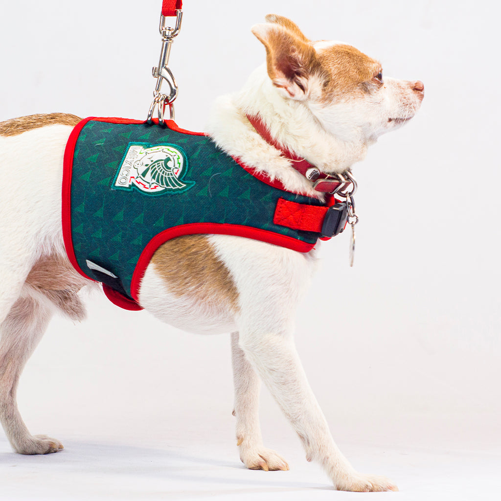 Pechera para Perro México Oficial
