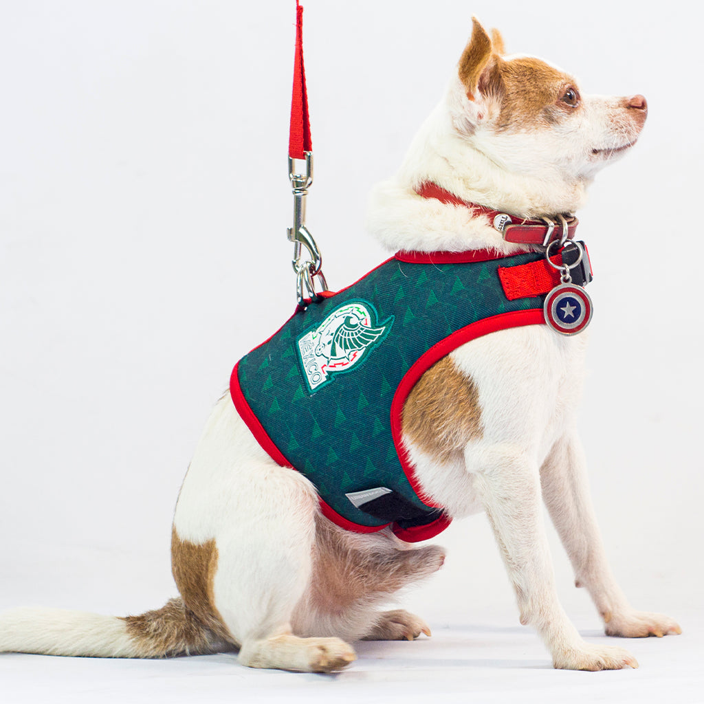 Pechera para Perro México Oficial