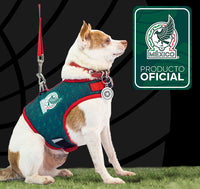 Pechera para Perro México Oficial